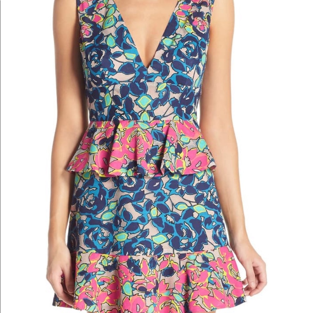 NWT BCBGMAXAZRIA ‘Caron’ Peplum Mesh Fit & Flare